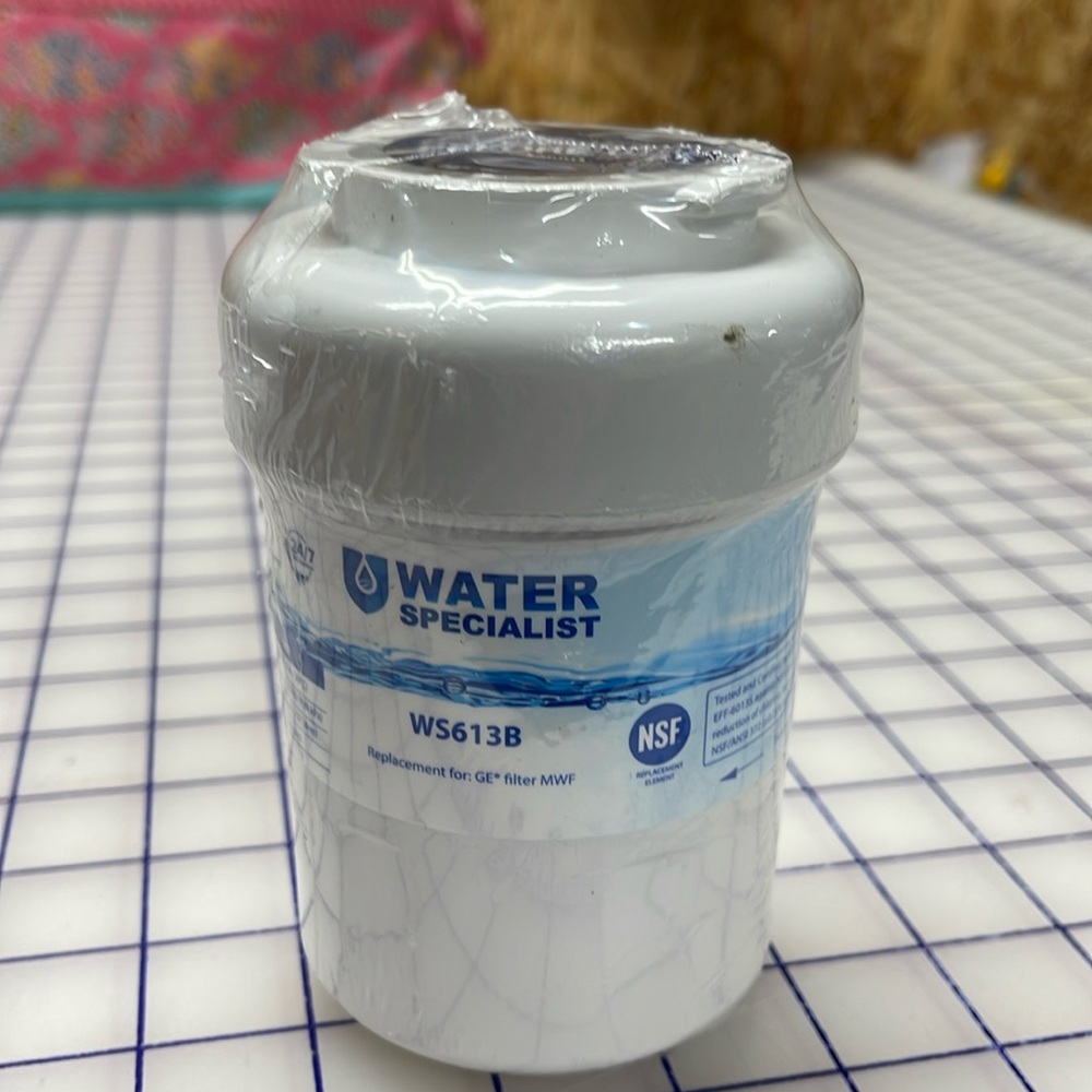 Waterspecialist MWF Refrigerator Water Filter WS613B Replacement GE Smart